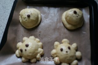 小狮子和小狗面包的做法步骤：12