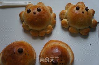 小狮子和小狗面包的做法步骤：14