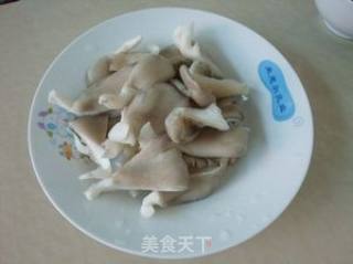 蘑菇炒包心菜的做法步骤：2