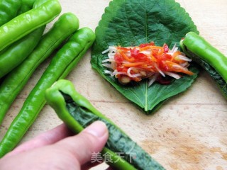 韩国料理家常泡菜——青辣椒包馅泡菜的做法步骤：5