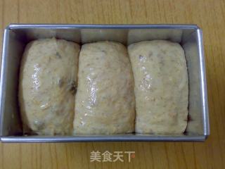 燕麦提子吐司的做法步骤：15