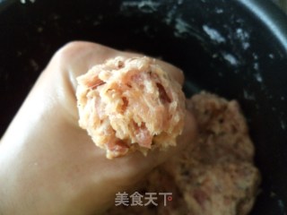 纯手工——香菇猪肉丸的做法步骤：8
