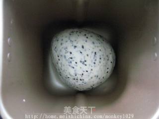 芝麻排包的做法步骤：4