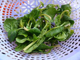 菠菜鸡蛋面的做法步骤：1