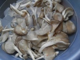 家常豆腐的做法步骤：4