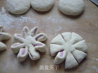 紫薯花馒头的做法步骤：10