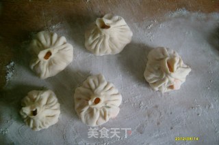 自制馅包子的做法步骤：7