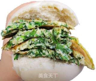 香菜煎蛋的做法步骤：5