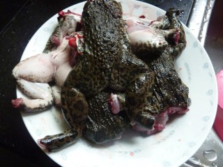 红椒爆山田鸡的做法步骤：1