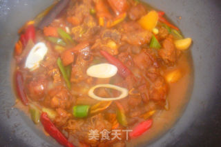 慰劳自己，享受美味-----红烧啤酒鸭的做法步骤：10