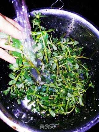 凉拌马齿苋的做法步骤：3