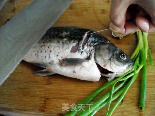 鲫鱼粥的做法步骤：4