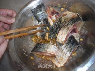 鲫鱼粥的做法步骤：10