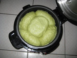 抹茶蜜豆面包的做法步骤：10