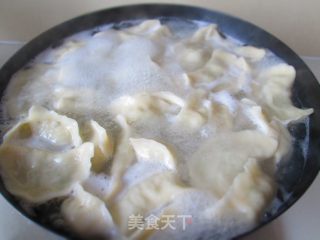 冬瓜虾仁馅饺子的做法步骤：8