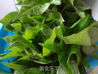清炒红薯叶尖的做法步骤：1