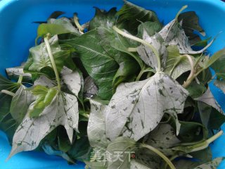 清炒红薯叶尖的做法步骤：2