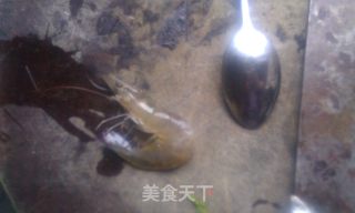 滚龙丝瓜——蒜蓉蒸丝瓜别样吃的做法步骤：3