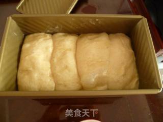 中种北海道吐司的做法步骤：3