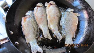 冬瓜熬鲫鱼的做法步骤：4