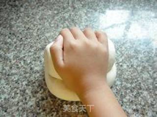 如何做出漂亮的包子馒头---手工揉面要点的做法步骤：10