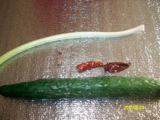 炝拌豆腐丝的做法步骤：2