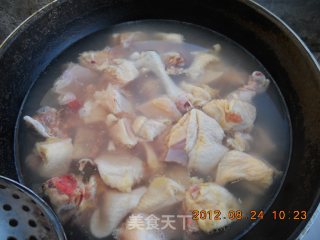 醪糟鸡的做法步骤：2