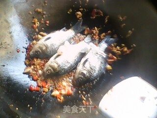 干烧鲫鱼的做法步骤：4