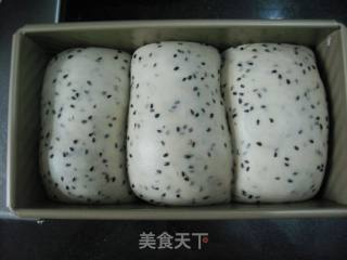 第一次制作土司——黑芝麻土司的做法步骤：11