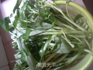 蒜香空心菜的做法步骤：1