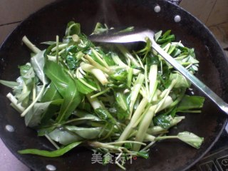 蒜香空心菜的做法步骤：6