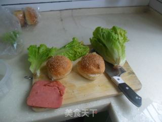 最简单的汉堡包制作的做法步骤：1