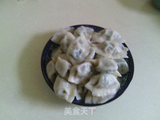 韭菜鸡蛋猪肉饺子的做法步骤：11