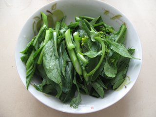 蚝油菜心面的做法步骤：4