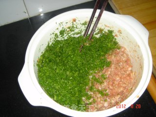 茴香馅饺子的做法步骤：5