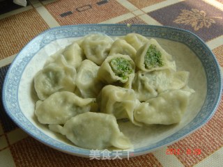 茴香馅饺子的做法步骤：7