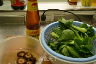最爱吃的素菜【蚝油香菇青菜】的做法步骤：1