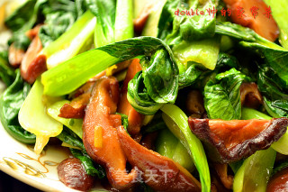 最爱吃的素菜【蚝油香菇青菜】的做法步骤：8