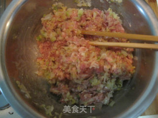 猪肉酸菜馅水煎饺的做法步骤：4