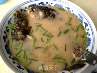 鲫鱼葱花汤的做法步骤：7