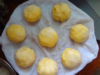 黄金豆沙包的做法步骤：4