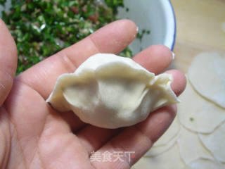 为儿子包的滚蛋饺子——【韭菜虾仁饺子】的做法步骤：13