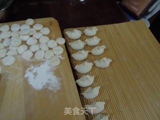 茴香饺子的做法步骤：5