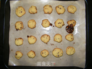 【番茄自制美食】趣多多的做法步骤：13