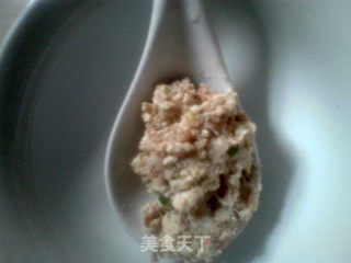 白菜肉圆子的做法步骤：9