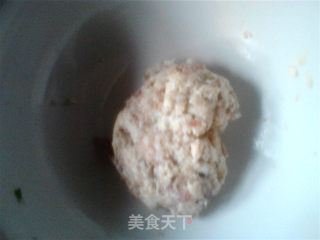 白菜肉圆子的做法步骤：10