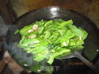 蒜香油麦菜的做法步骤：7