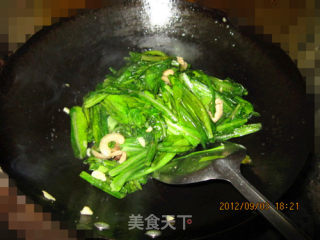 蒜香油麦菜的做法步骤：8