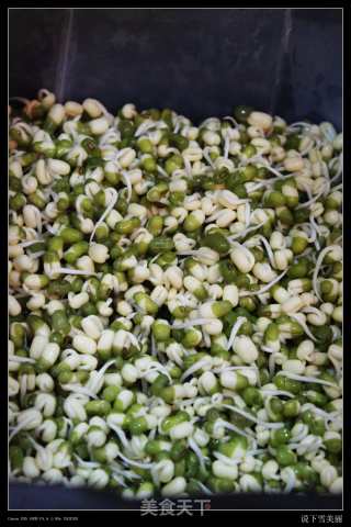新鲜出炉家庭自制豆芽-爽口豆芽的做法步骤：11