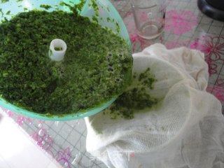 翡翠水饺的做法步骤：3